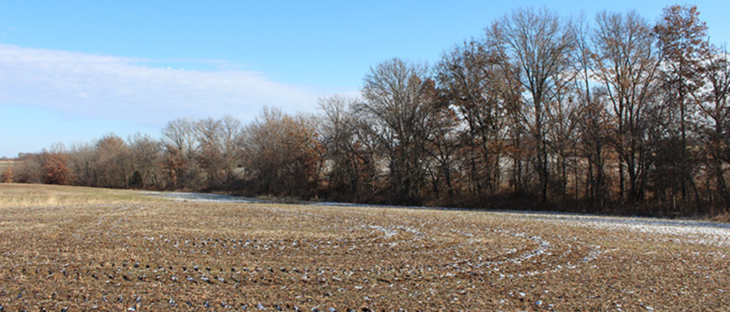 Fields Divided by Wooded Draw