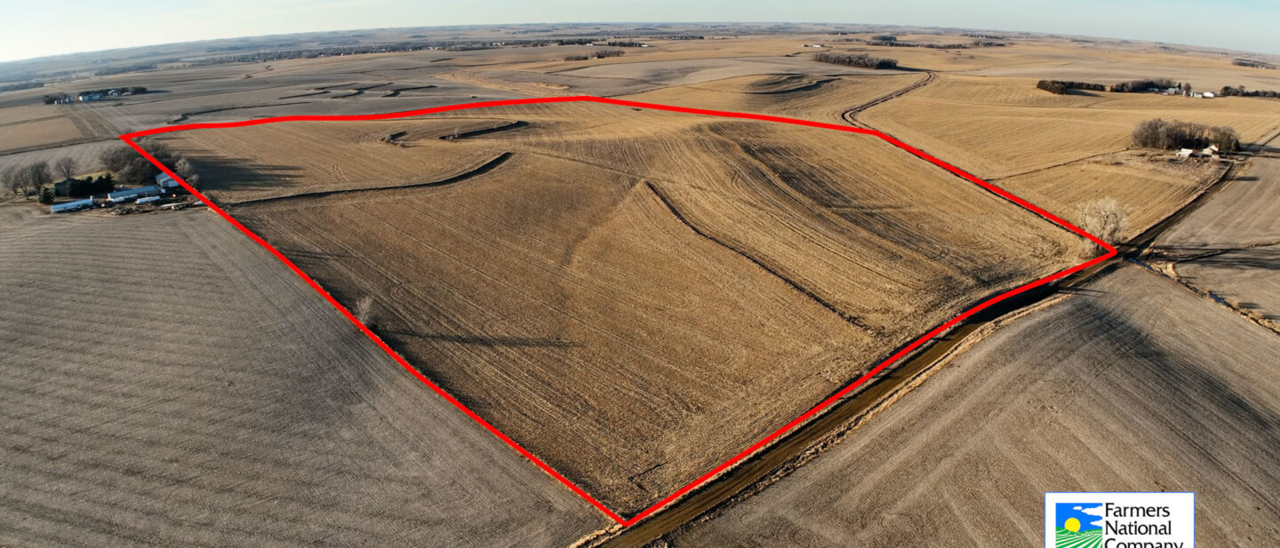 Flyer Front Page Lyons Pic 1 outline