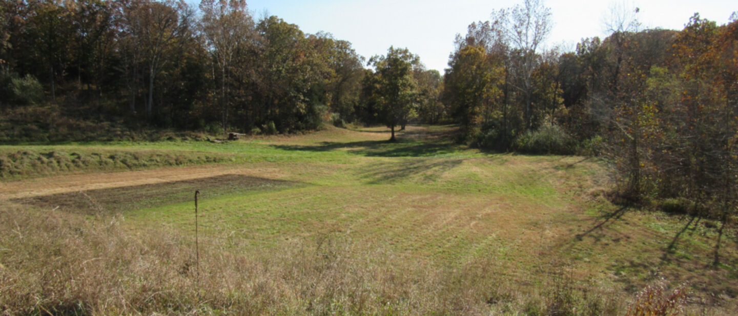 Food Plot 1