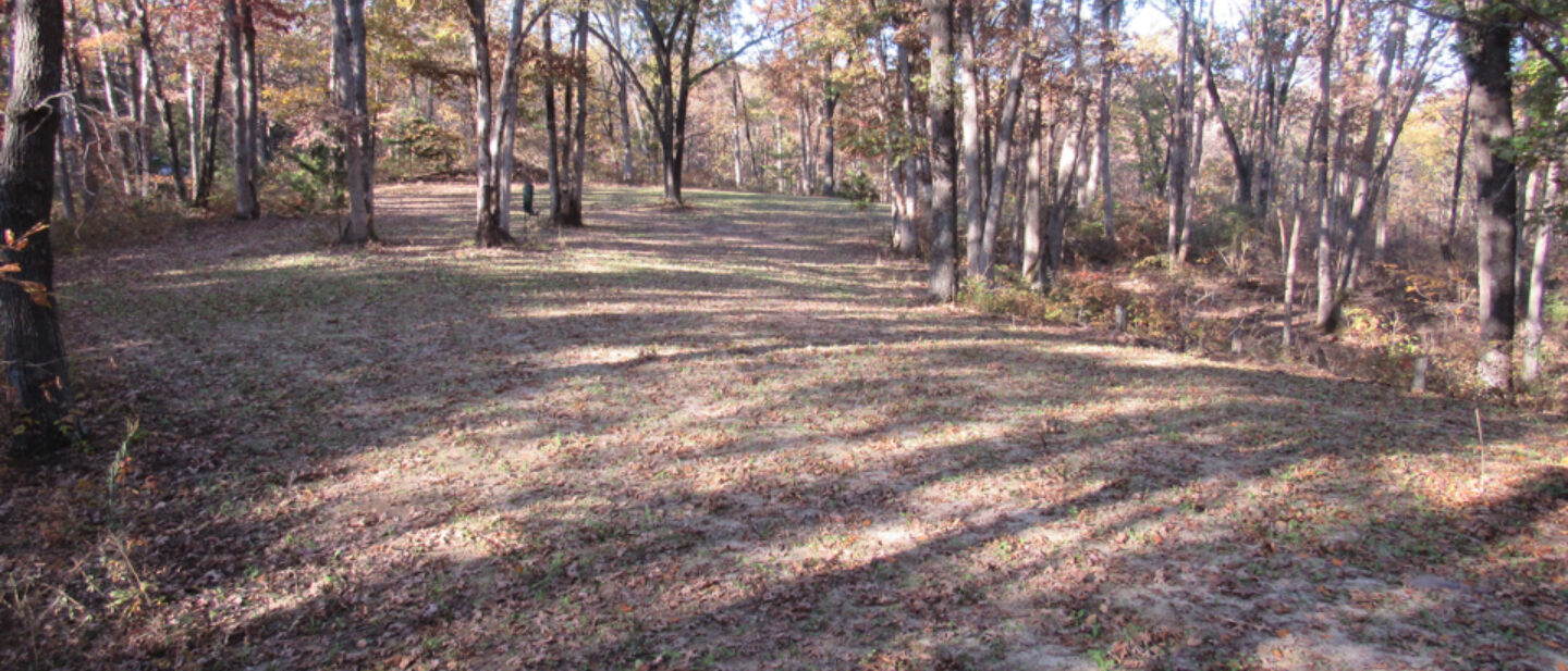 Food Plot 3