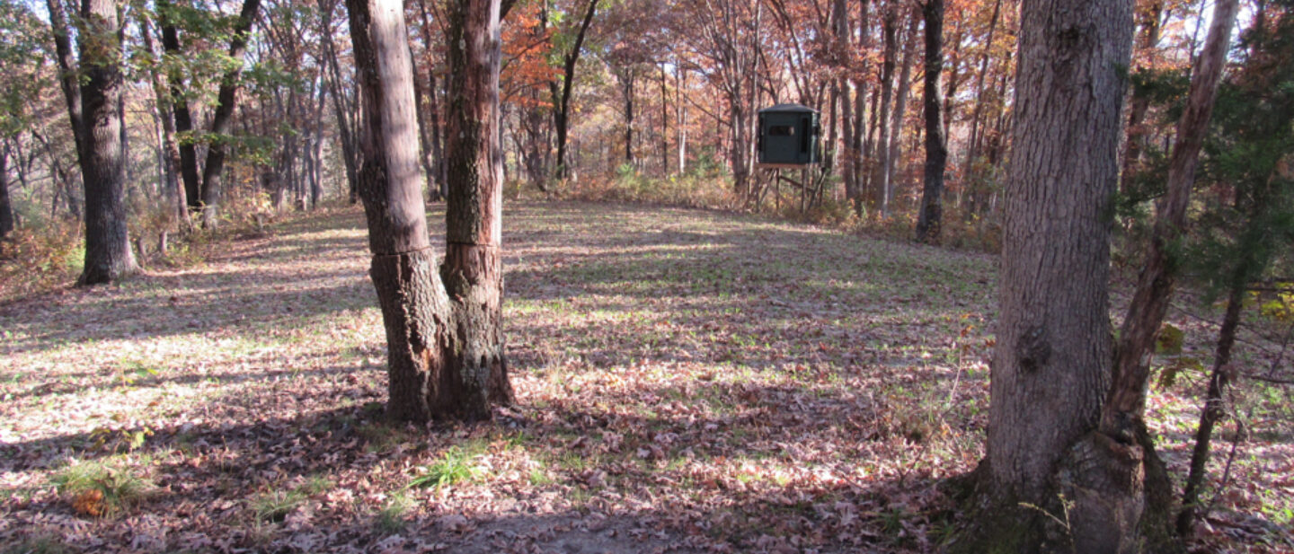 Food Plot Redneck