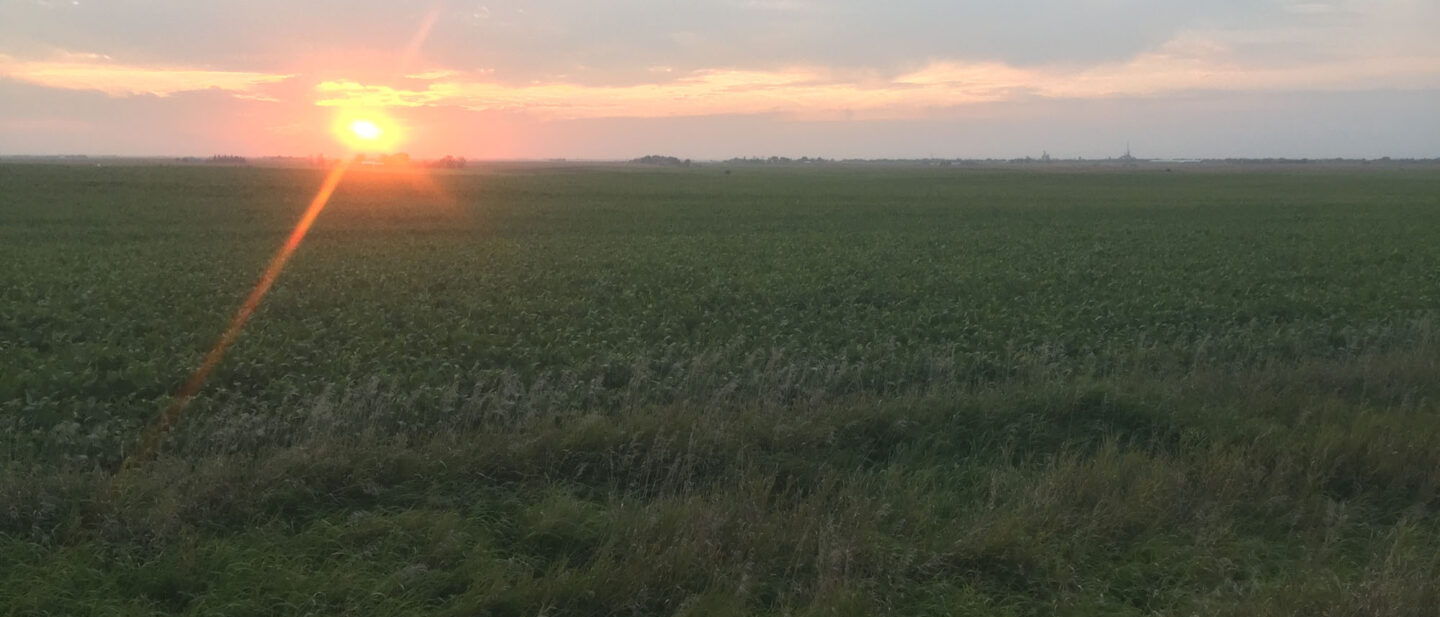 From East Road Looking West 1