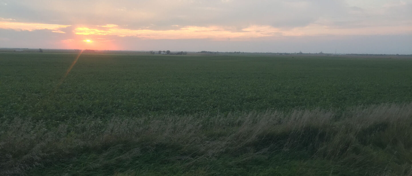 From East Road Looking West2