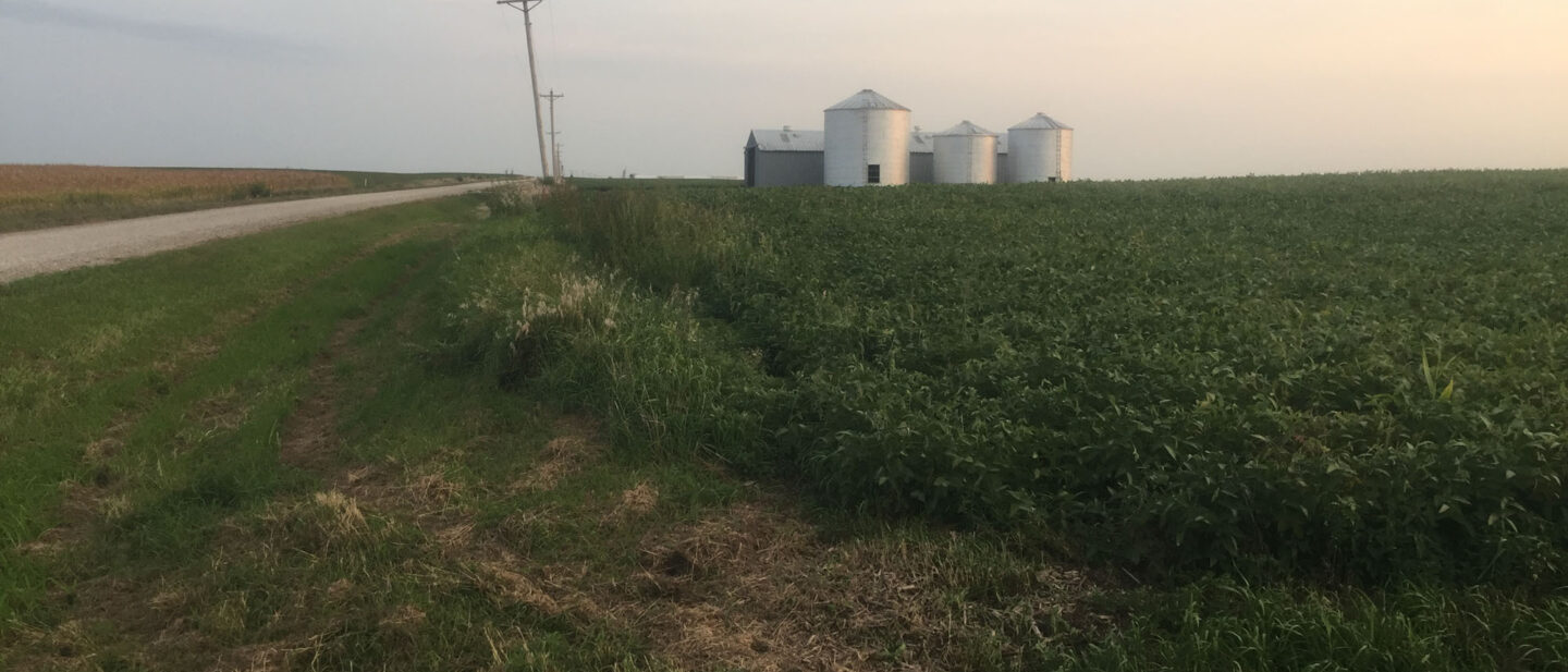 From NE Corner Looking South