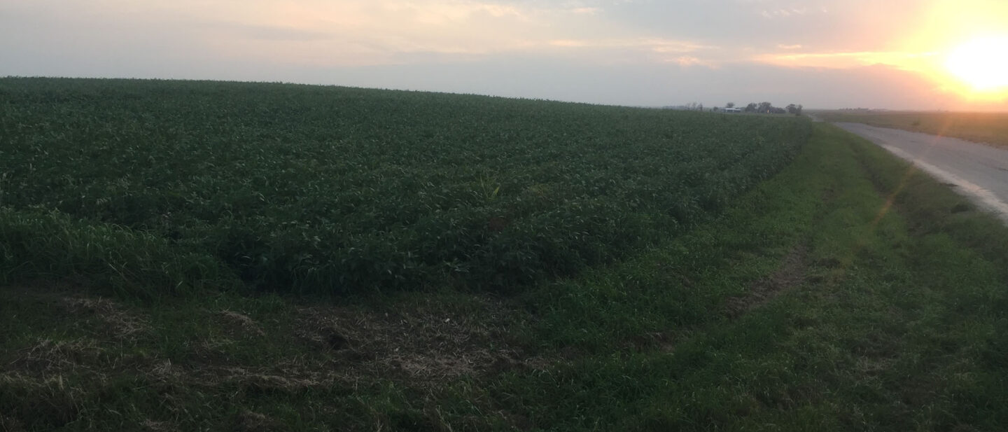 From NE Corner Looking West