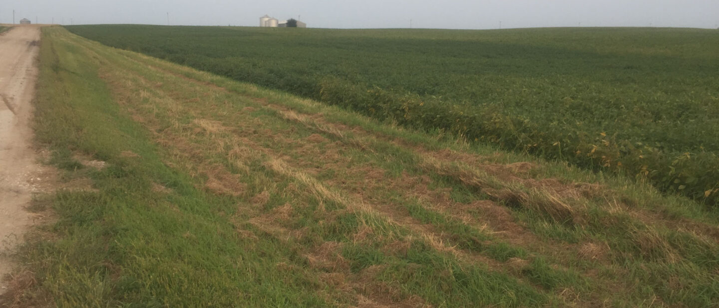 From NW Corner Looking East