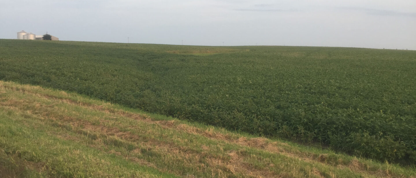 From NW Corner Looking SE