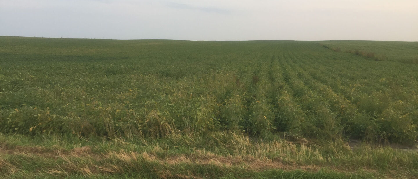 From NW Corner Looking South