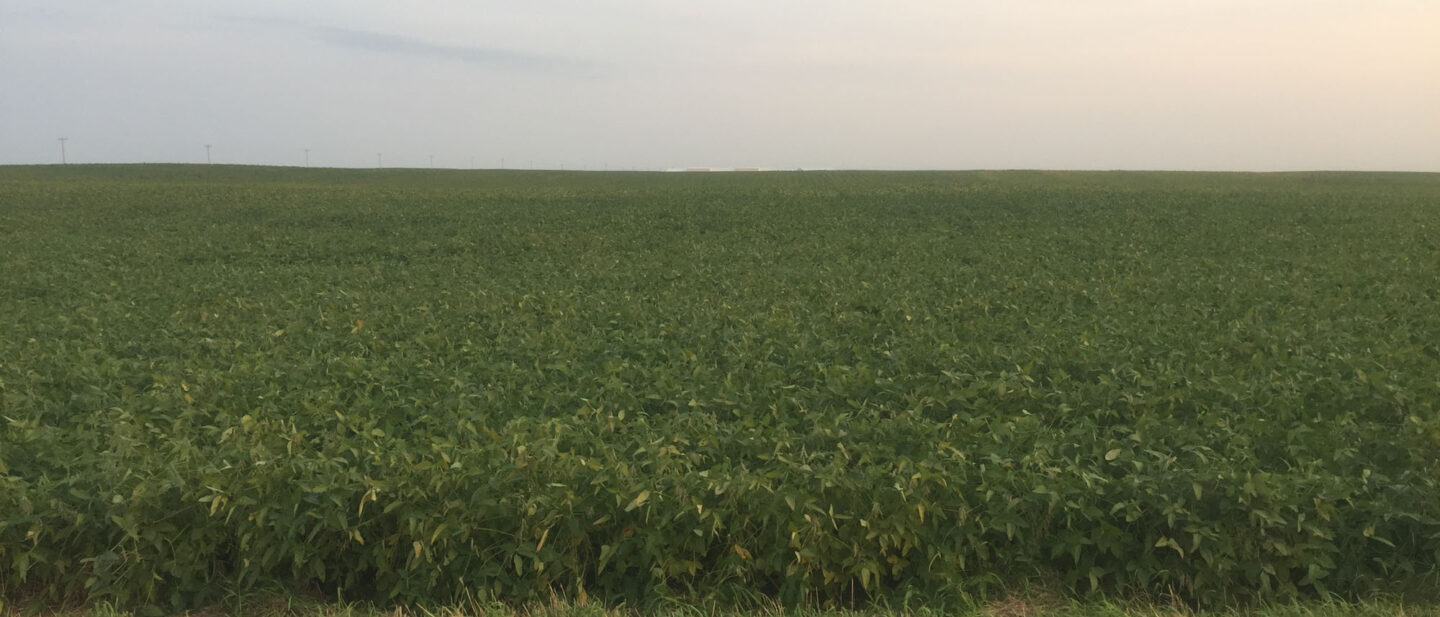 From North Road Looking South