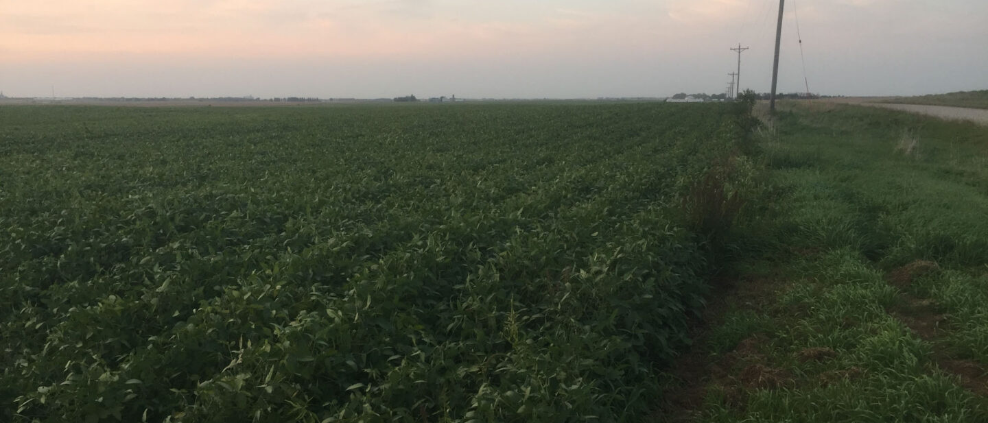 From SE Corner Looking North