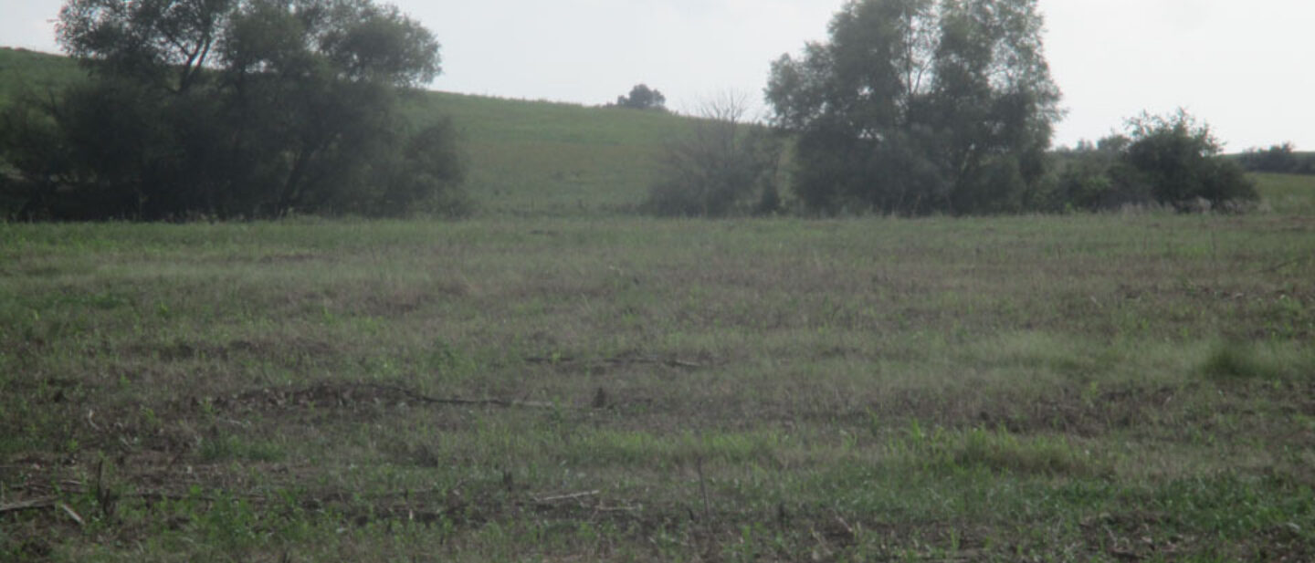 From center frield of CRP view to west