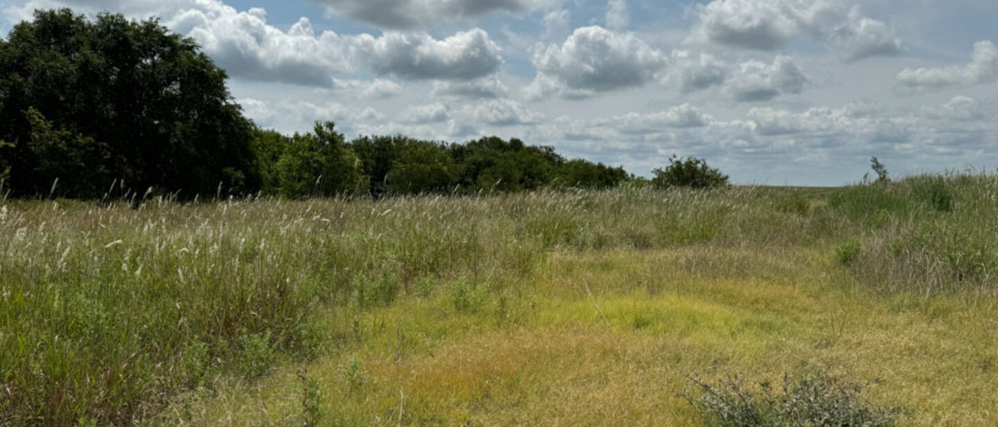 Garet Walker Clark County Pasture photo