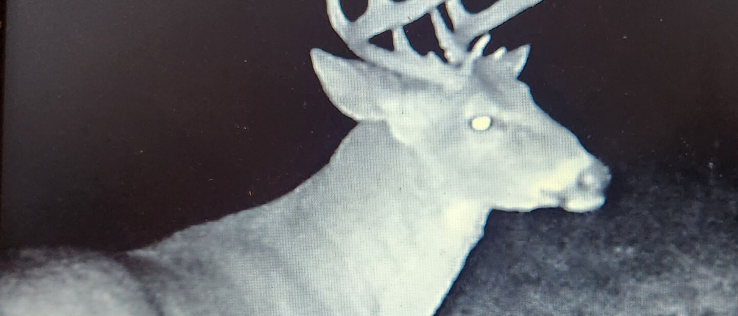 Goode 8 pointer