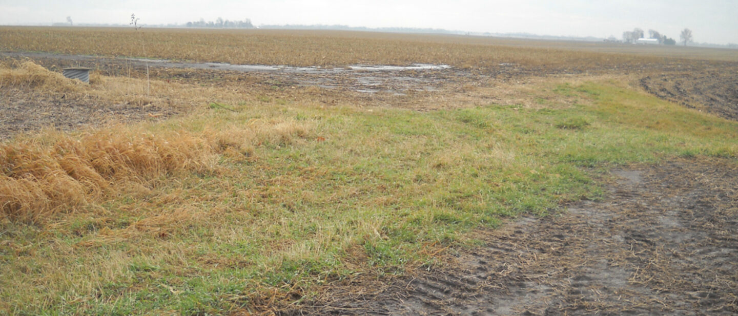 Grass Lane connecting 40 and 80 acre tracts