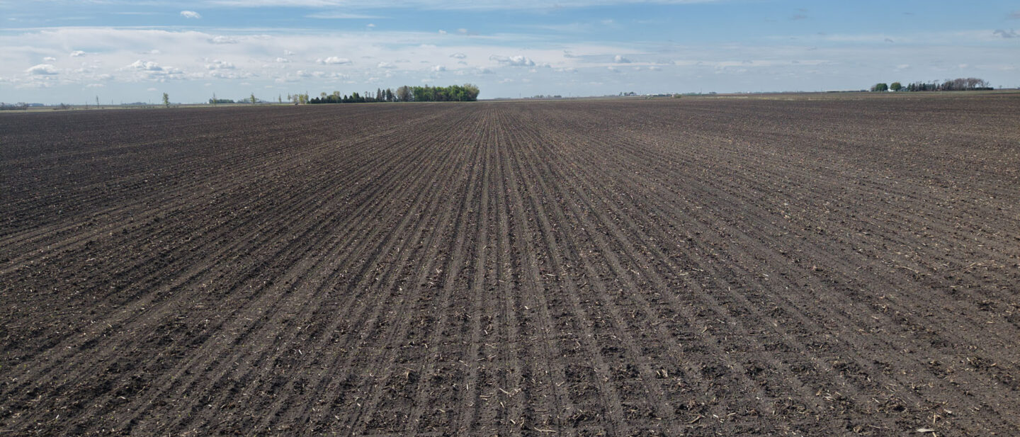 Ground level view Wright County Iowa