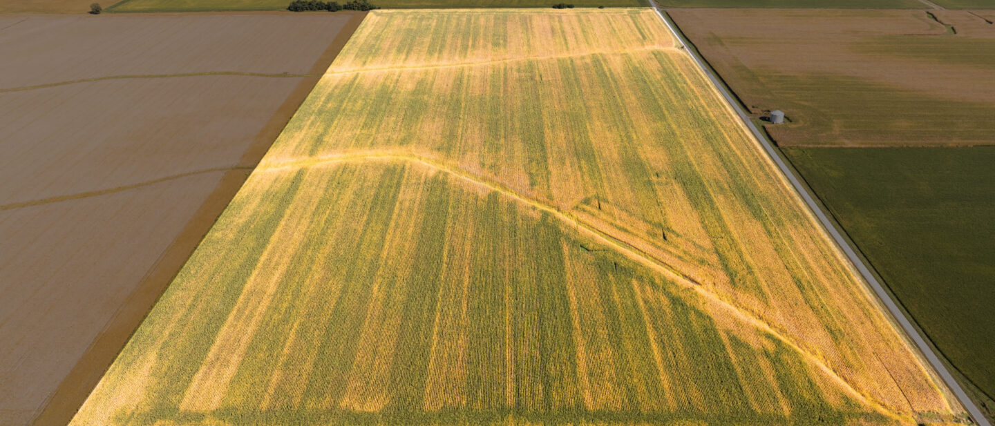 Haefeli Tract 1