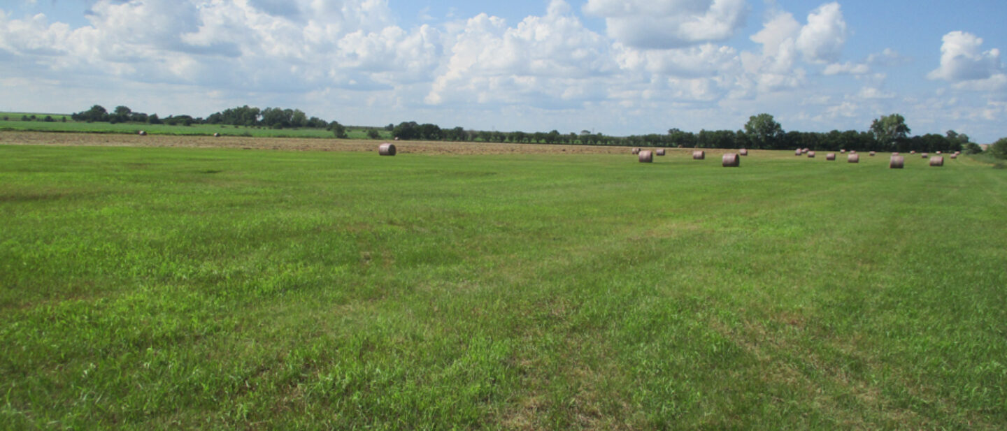 Hay Ground