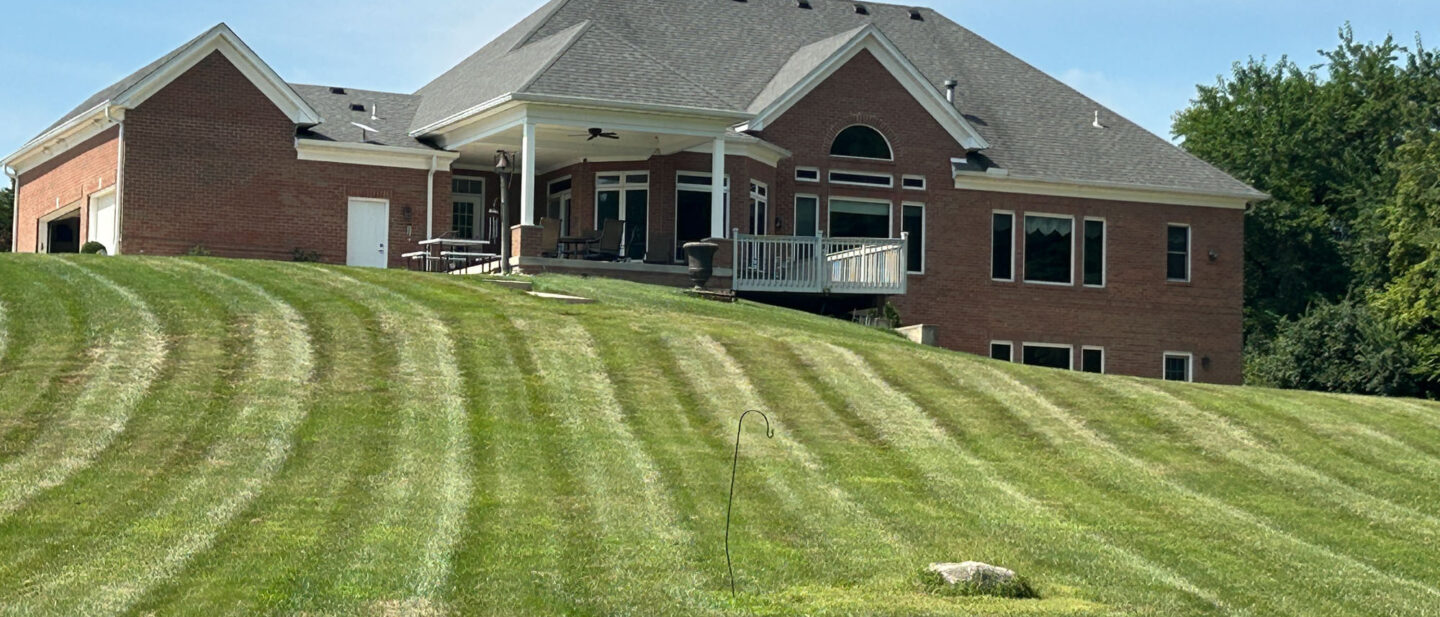 Home rear view