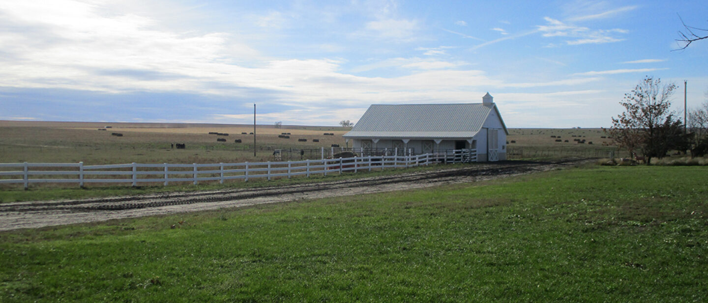 Horse Barn