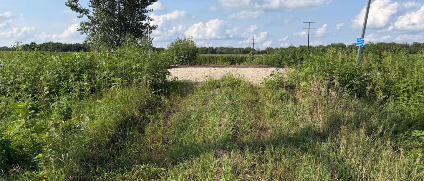 IMG 0759