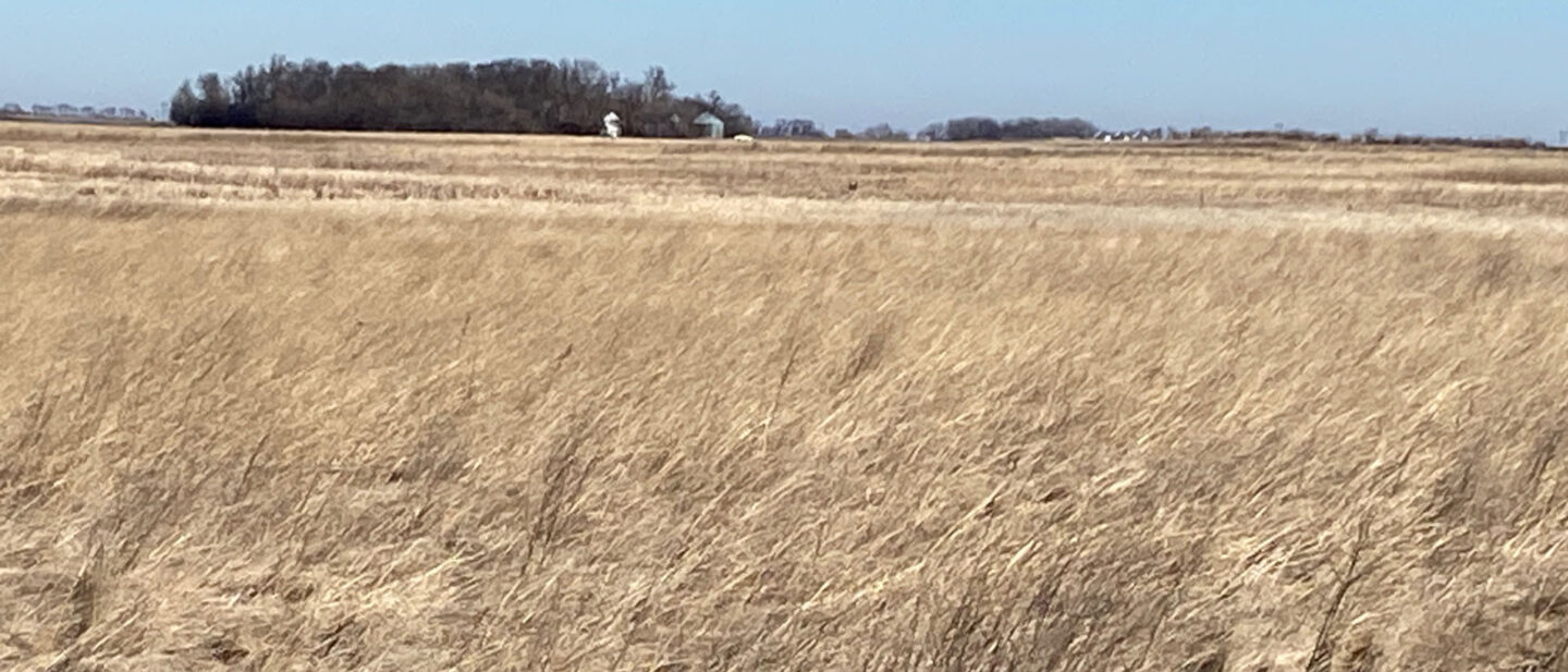 IMG 20260226 113008 2