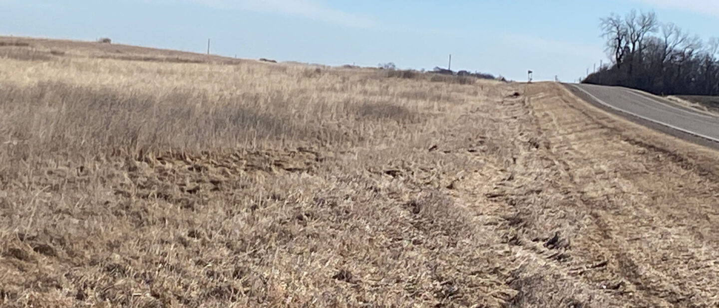 IMG 20260226 113008 3