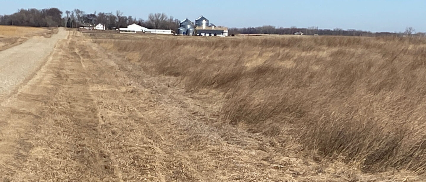 IMG 20260226 113037 5