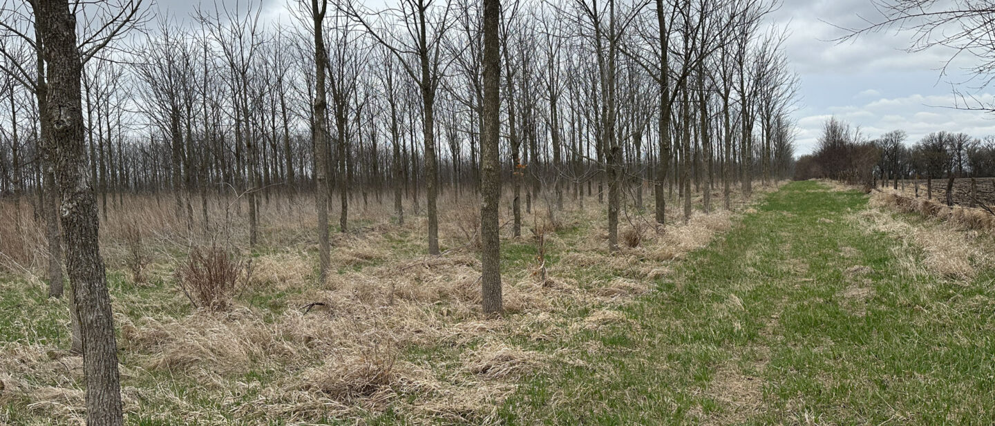 IMG 3285