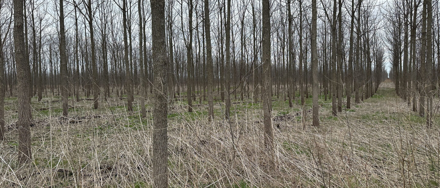 IMG 3298