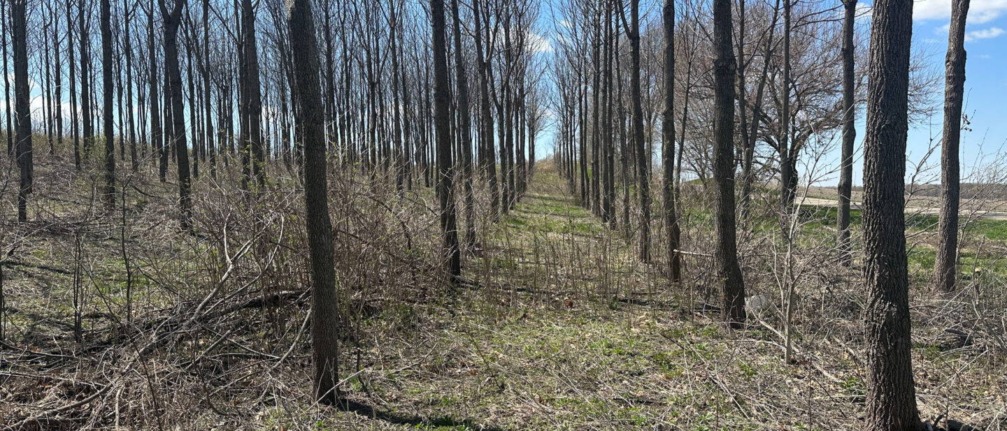 IMG 3339