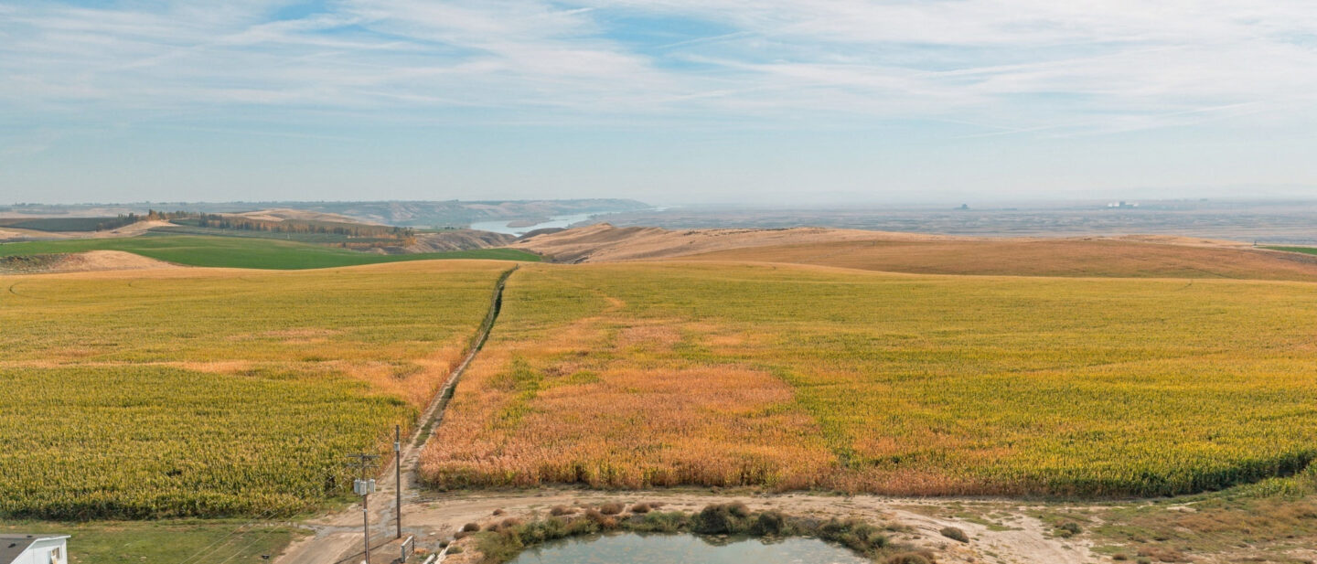Irrigation Pond and Large Center Pivot