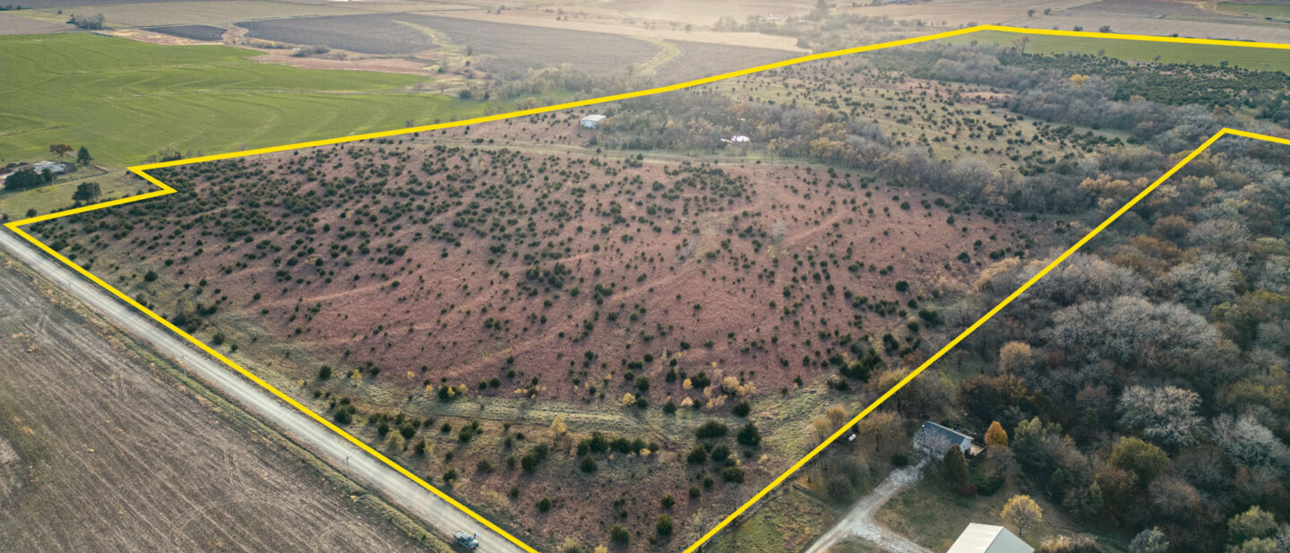 L 2500051 Van Schmidt 01