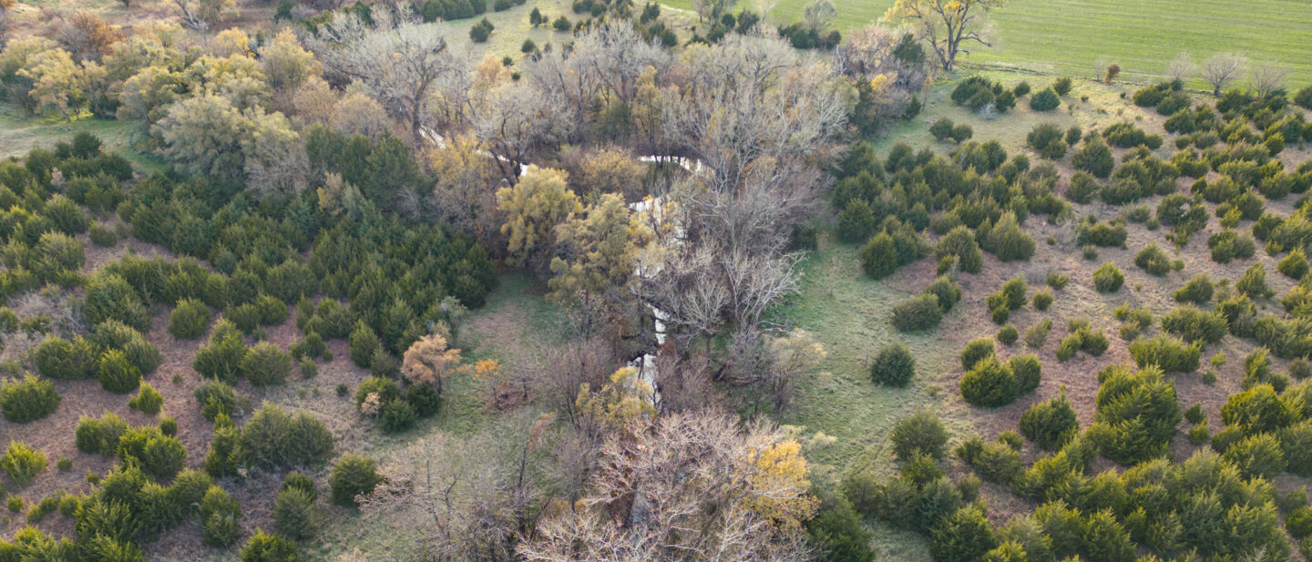 L 2500051 Van Schmidt 05