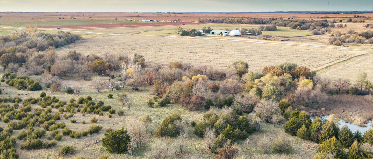 L 2500051 Van Schmidt 08