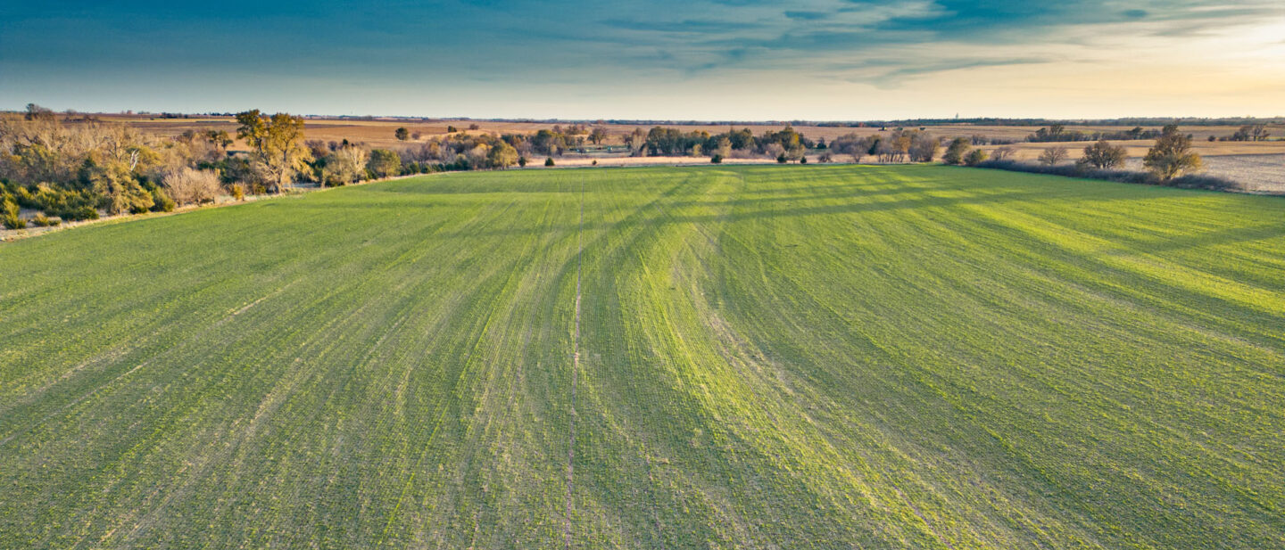 L 2500051 Van Schmidt 11