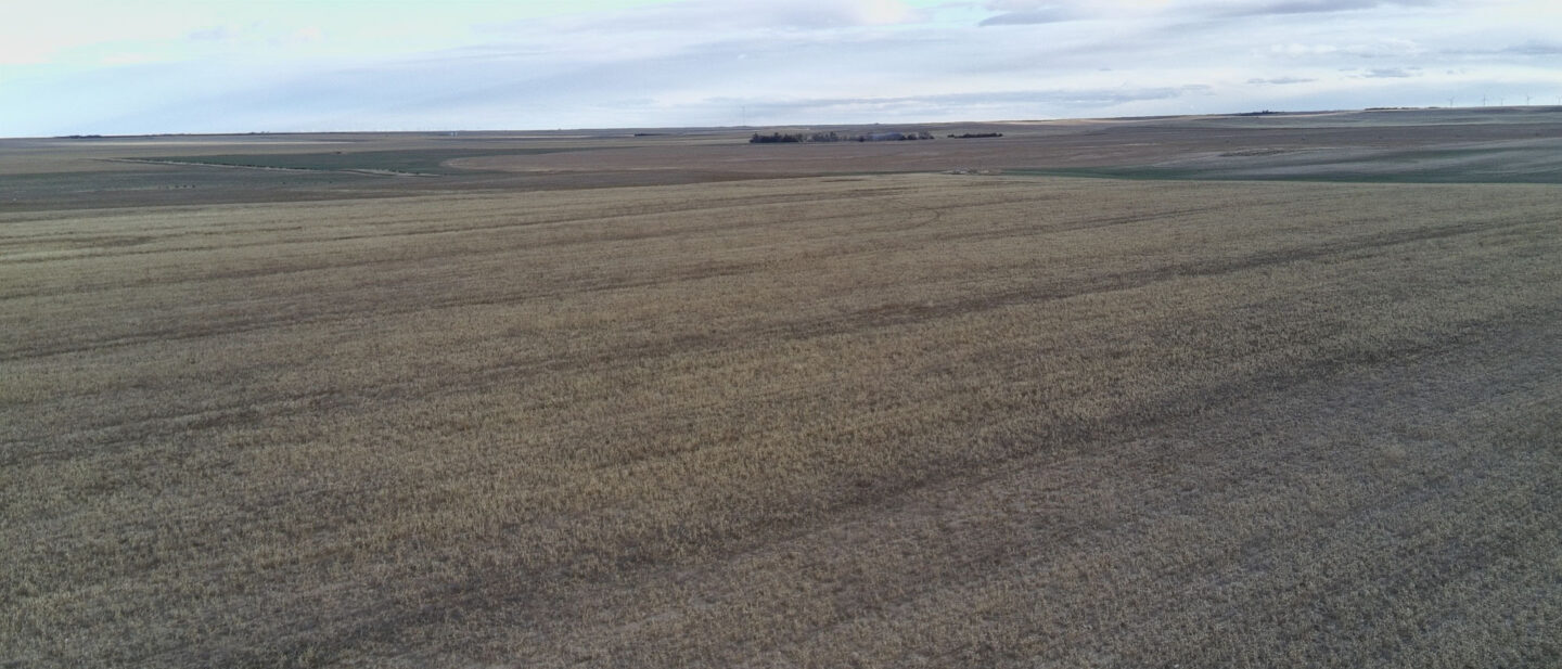 L 2500153 Crosscut pic