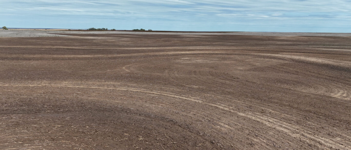 L 2500476 Hodgeman County Matt Foos Summer Fallow