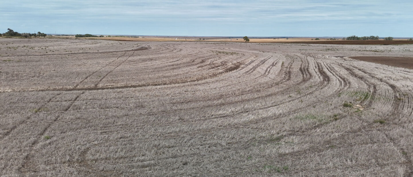 L 2500476 Hodgeman County Wheat Stubble