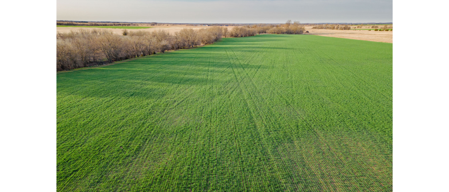 L 2600243 Schmidt Reno County 1 11