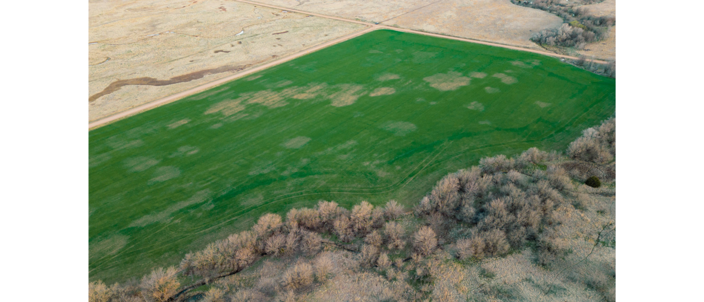 L 2600243 Schmidt Reno County 1 4