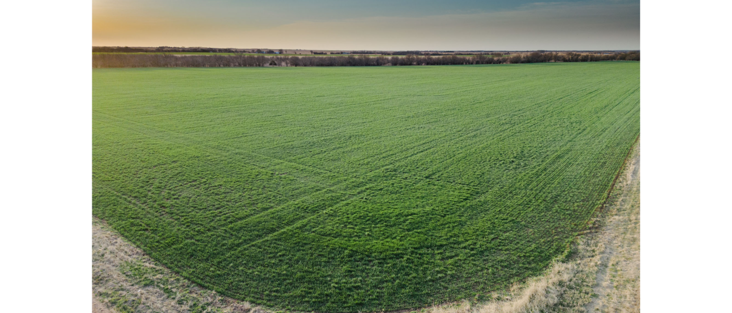 L 2600243 Schmidt Reno County 1 5