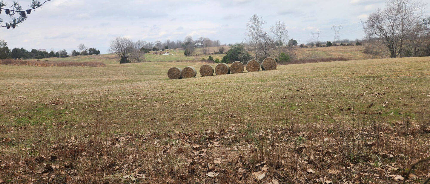 L 2600267 tract 3 hay field