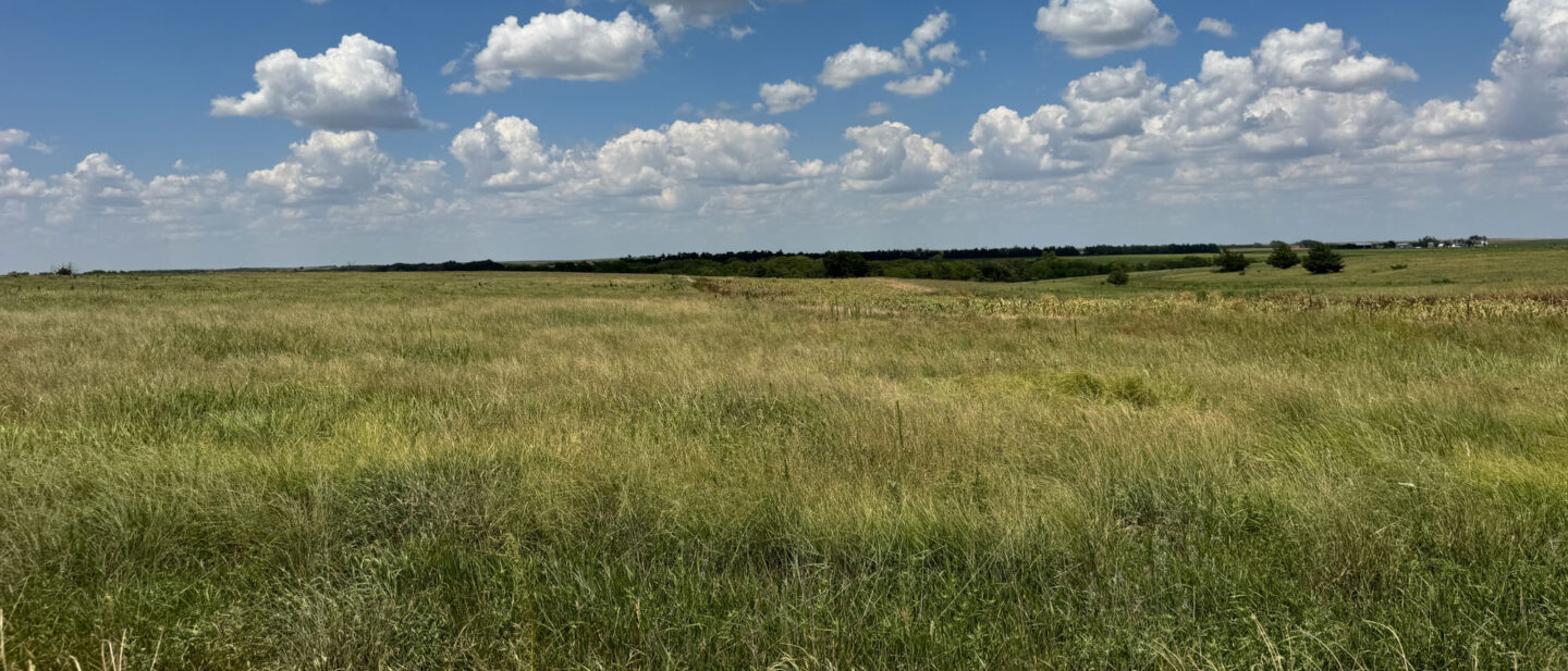 L 2600271 CRP South Side