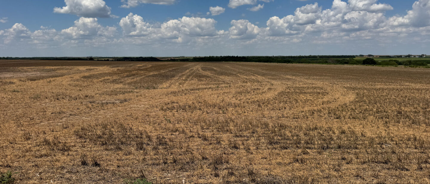 L 2600271 Wheat Stubble South Side