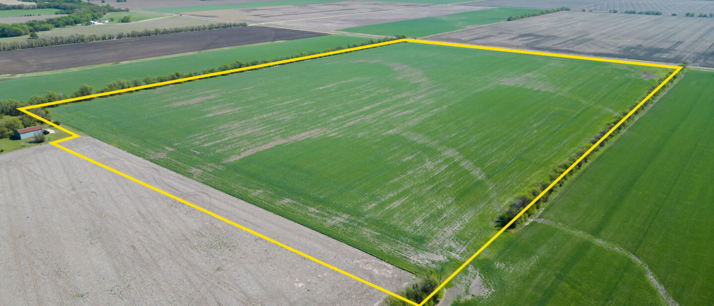 L 2600300 Van Schmidt 1