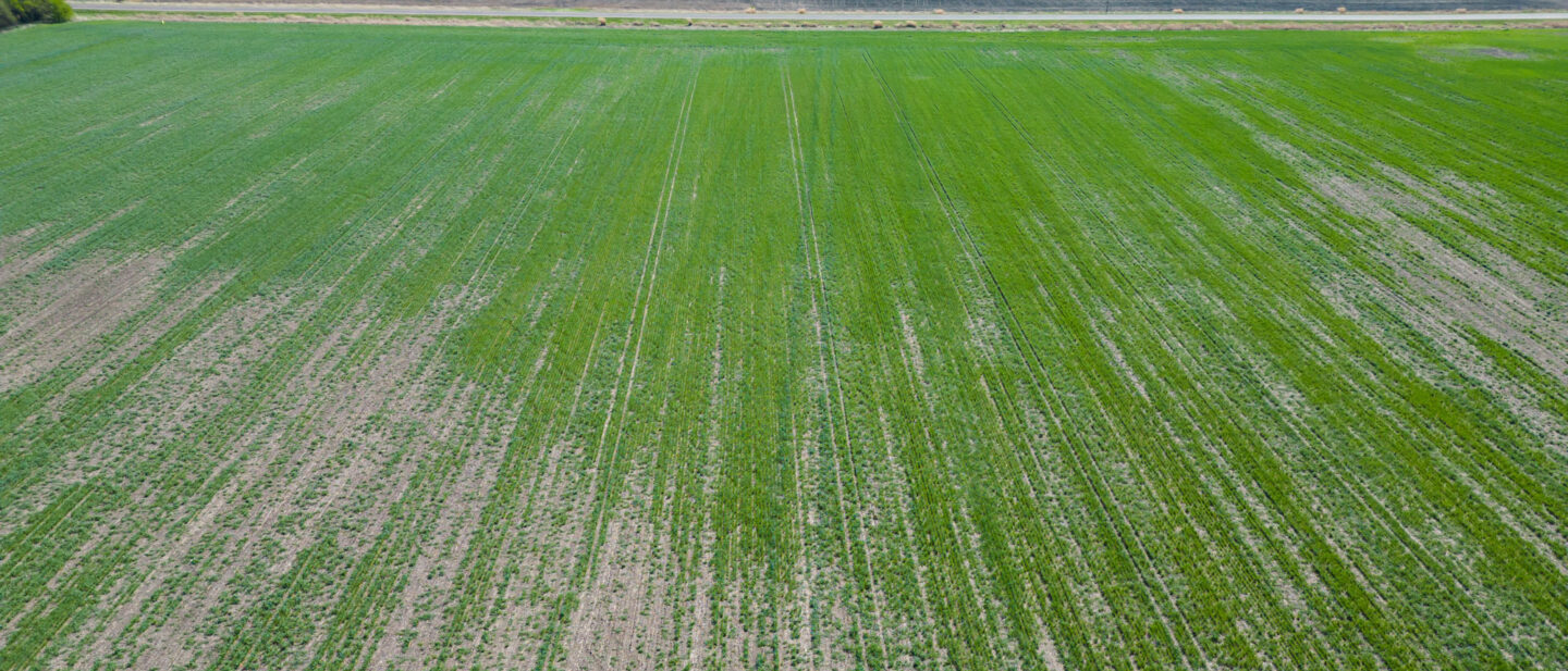 L 2600300 Van Schmidt 2