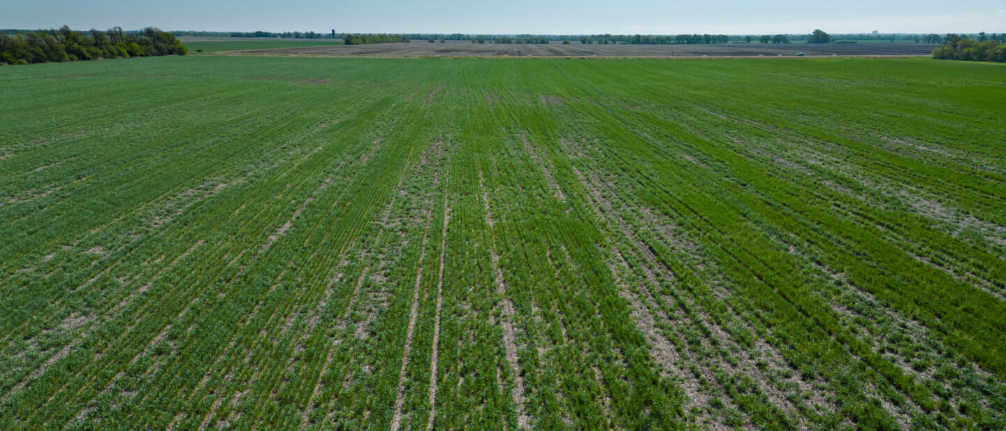 L 2600300 Van Schmidt 3