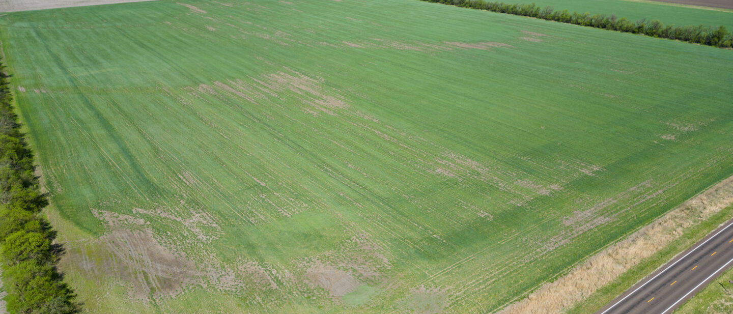 L 2600300 Van Schmidt 4