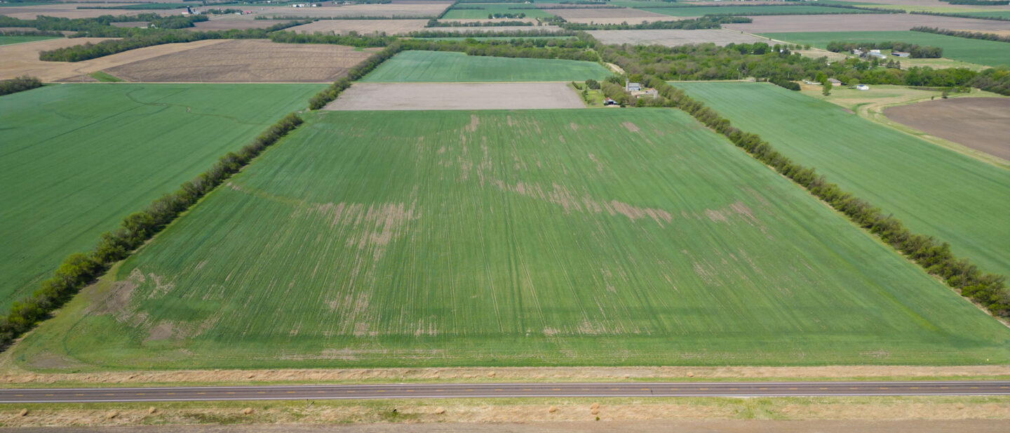 L 2600300 Van Schmidt 6