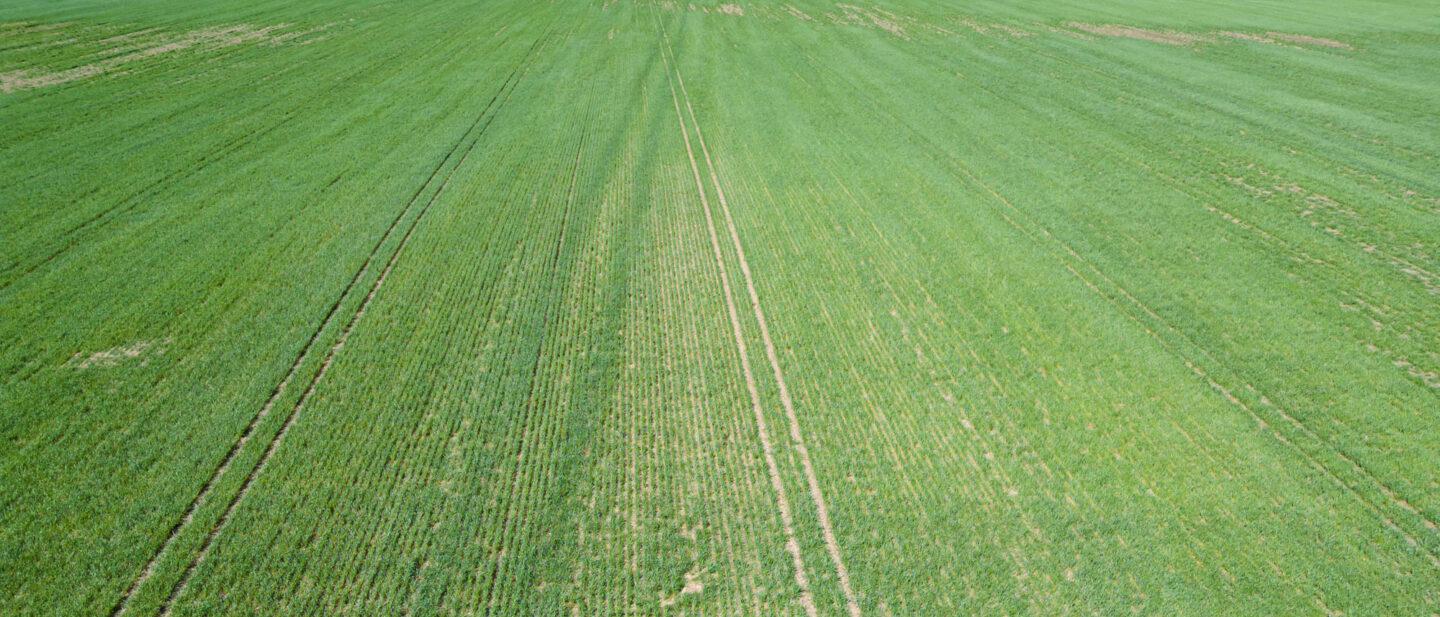 L 2600300 Van Schmidt 7